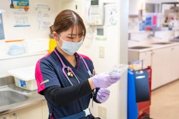 �k������a�@�F�Ō�t�A�E�͕��������i�[�X�i�r