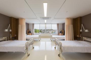 �k������a�@�F�Ō�t�A�E�͕��������i�[�X�i�r