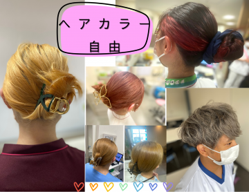 �����k��ÃZ���^�[�F�Ō�t�A�E�͕��������i�[�X�i�r