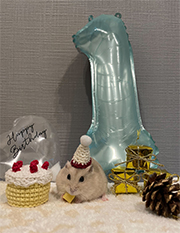 ���s���@��c�a�@�@A�EK