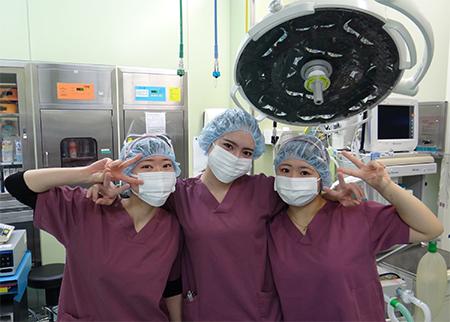 �������͍X���a�@�E���Q���È�a�@���|