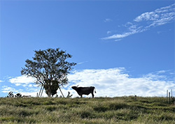 �������Ս`�a�@�@O�EA