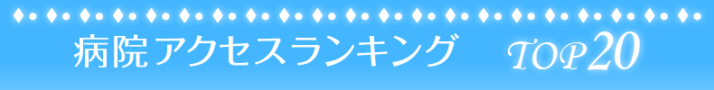 �a�@�A�N�Z�X�����L���O TOP20
